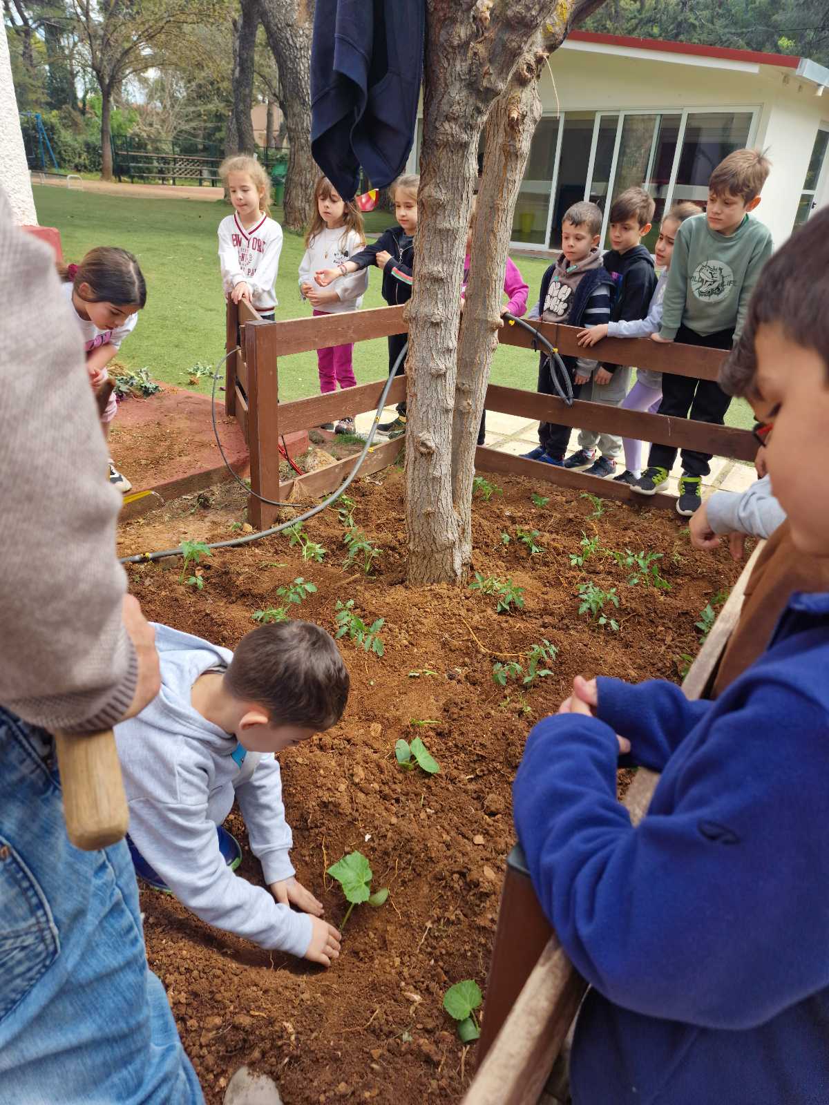 IMG 3ab6e62eeef525a93d278c1555018224 V